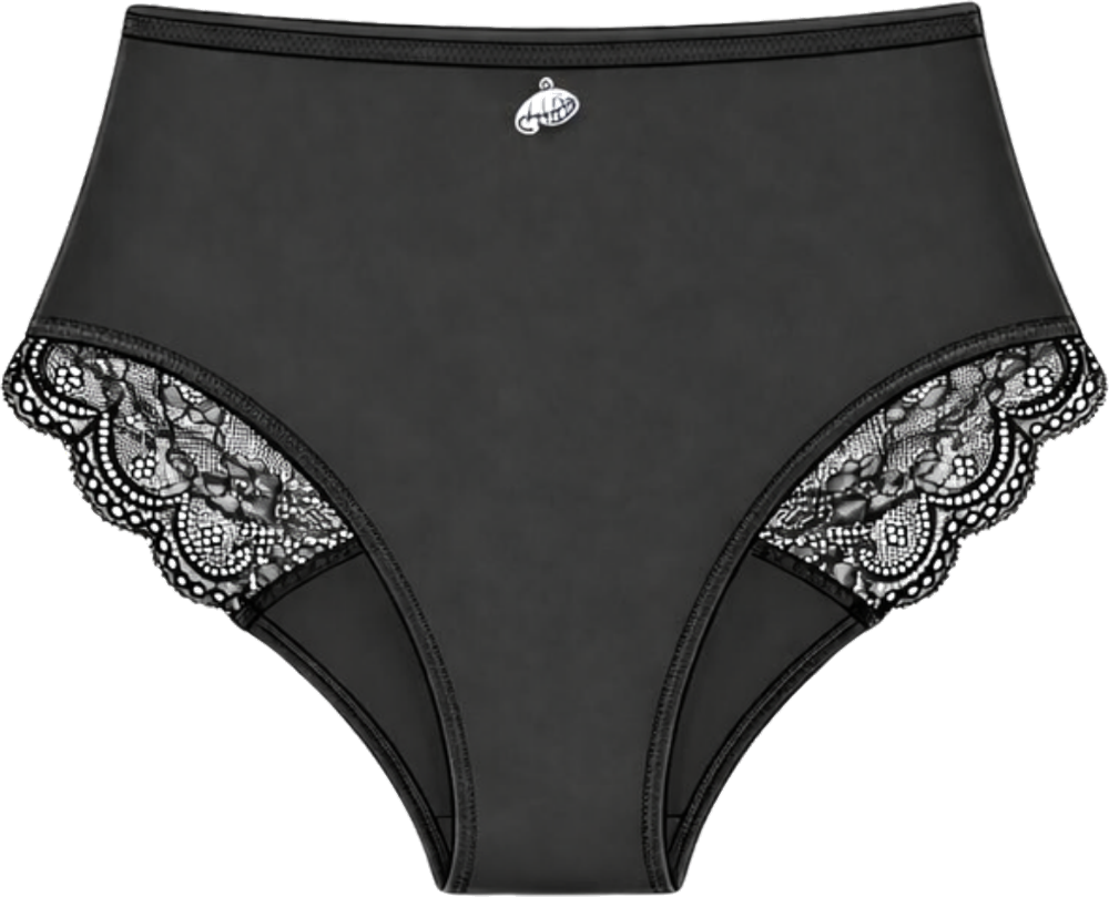 Charlotte High-Waist Brief — high absorbency